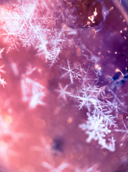 Similar image 7820840