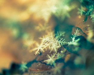 Similar image 7820852