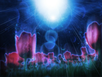 Similar image 7820889