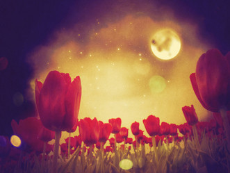 Similar image 7820896