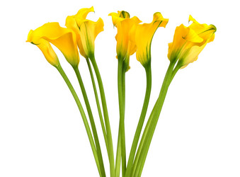 Similar image 7820961