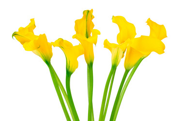 Similar image 7820962