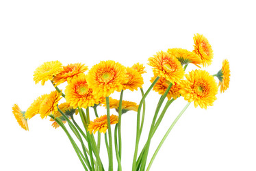 Similar image 7820963