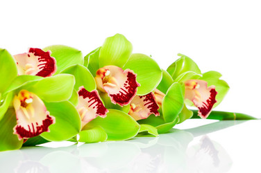 Similar image 7820964