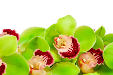 Similar image 7820966