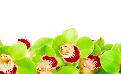 Similar image 7820967