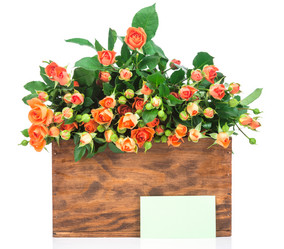 Similar image 7820969