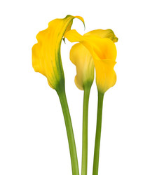 Similar image 7820970