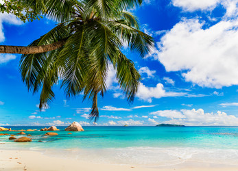 Similar image 7820972