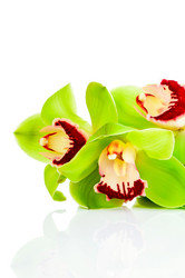 Similar image 7820973