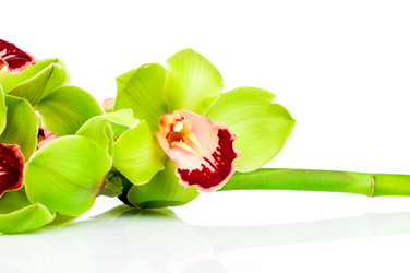 Similar image 7820974