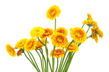 Similar image 7820976