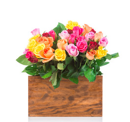 Similar image 7820977