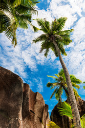 Similar image 7820982