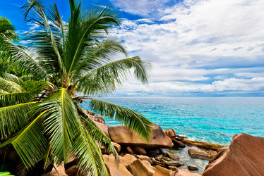 Similar image 7820990