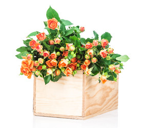 Similar image 7820992