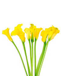 Similar image 7820994