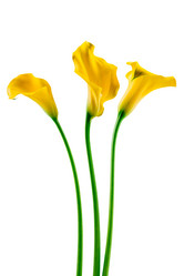 Similar image 7820995