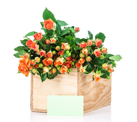 Similar image 7820997