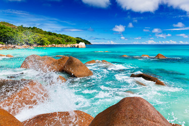 Similar image 7821000