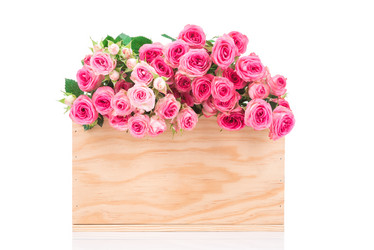 Similar image 7821011