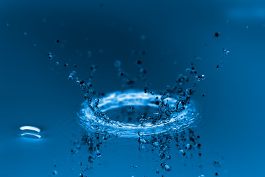 Similar image 7821017