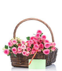 Similar image 7821103