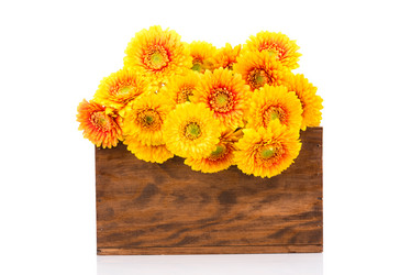 Similar image 7821104