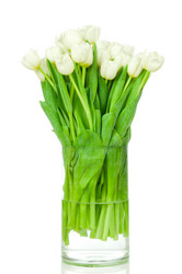 Similar image 7821272