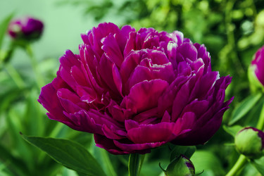 Similar image 7821273