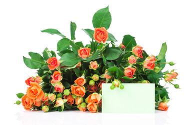 Similar image 7821291