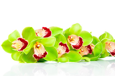 Similar image 7821292