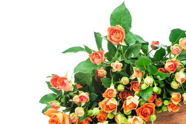 Similar image 7821293