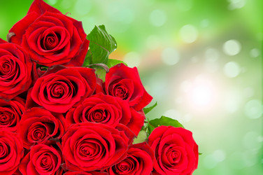 Similar image 7821295