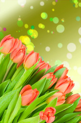 Similar image 7821297