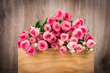 Similar image 7821301