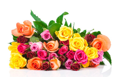 Similar image 7821316