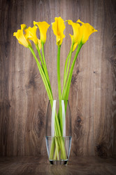 Similar image 7821318