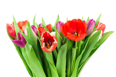 Similar image 7821341