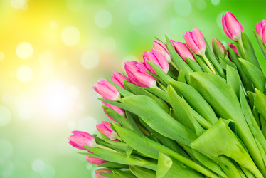 Similar image 7821358