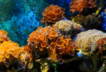 Similar image 7821544