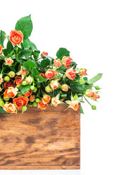 Similar image 7821545