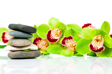 Similar image 7821546