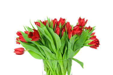 Similar image 7821549