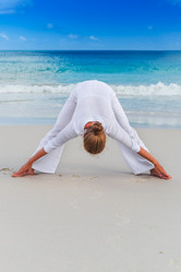 Similar image 7821550