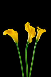 Similar image 7821560