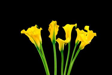 Similar image 7821562