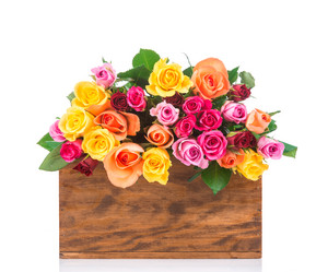 Similar image 7821570