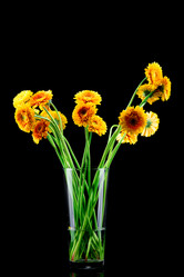 Similar image 7821571