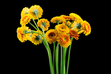 Similar image 7821573